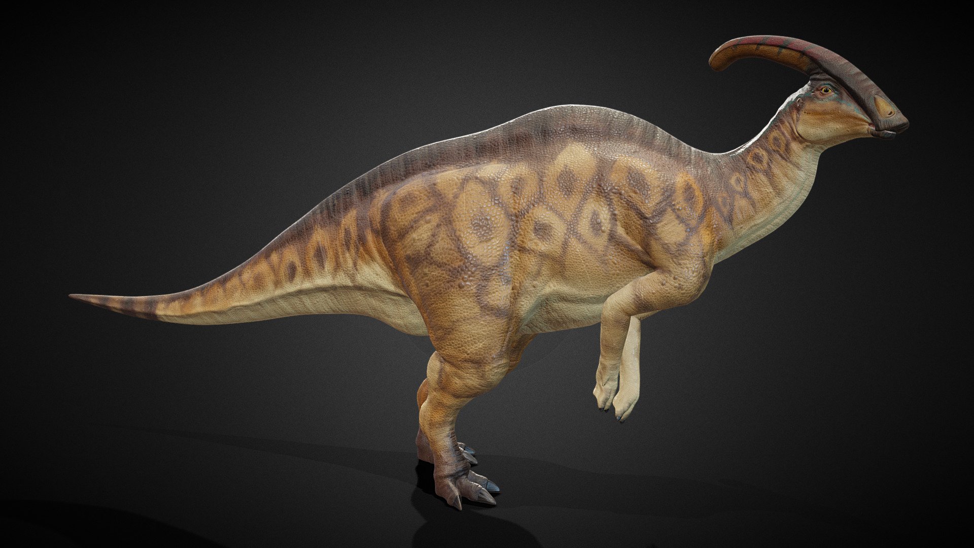 ArtStation - 3D Dino - Parasaurolophus