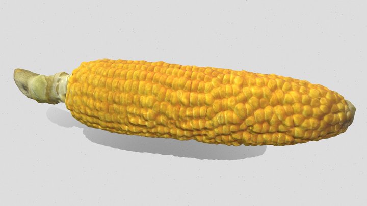 Sweet Corn