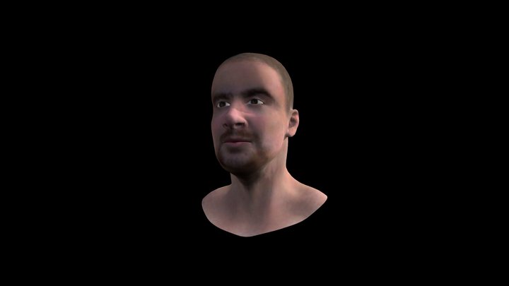Human- Head- Blender- File-1-testing 3D Model