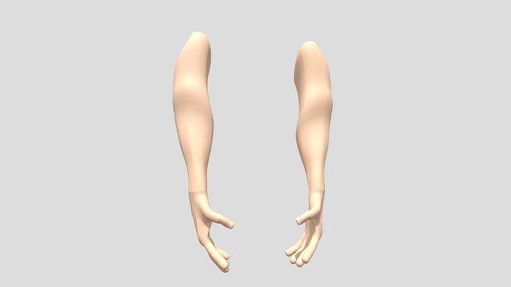Arms(Rigged) First Person 3D Model