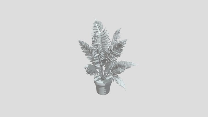 Potted green fern plant 3D Model