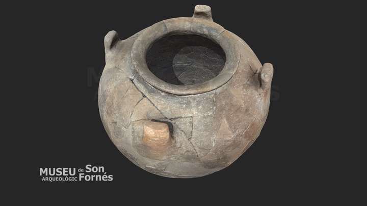 Olla pitoide talayótica 3D Model