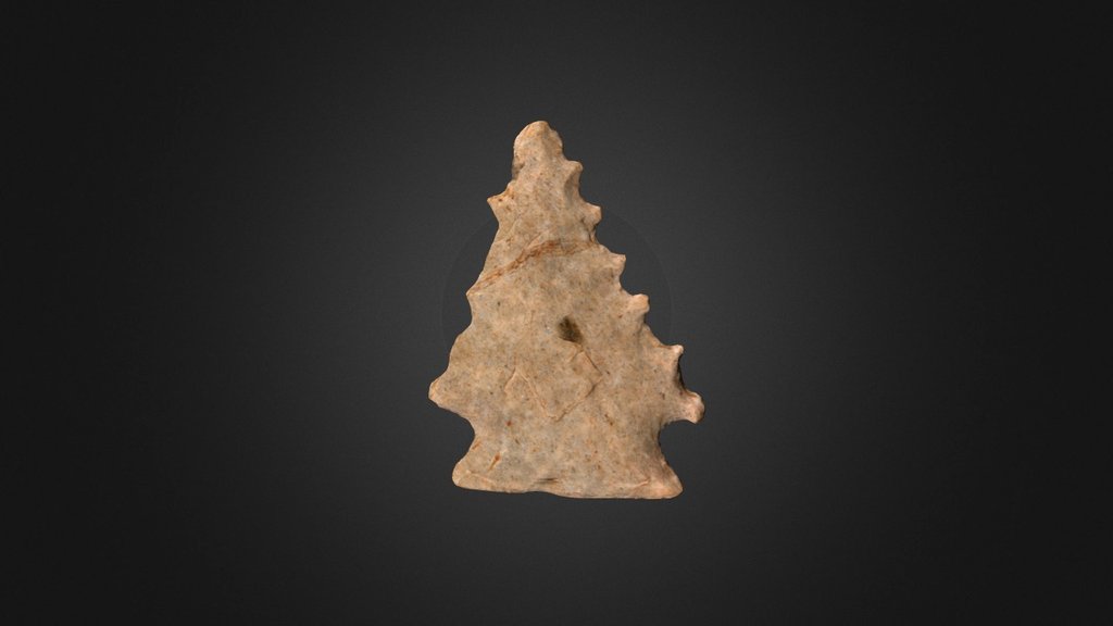 Palmer Corner-Notched (690a442)
