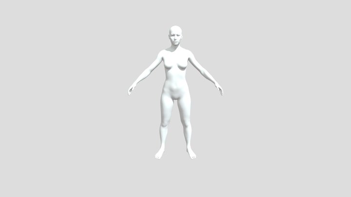 Human Rigged 3D 3D Model