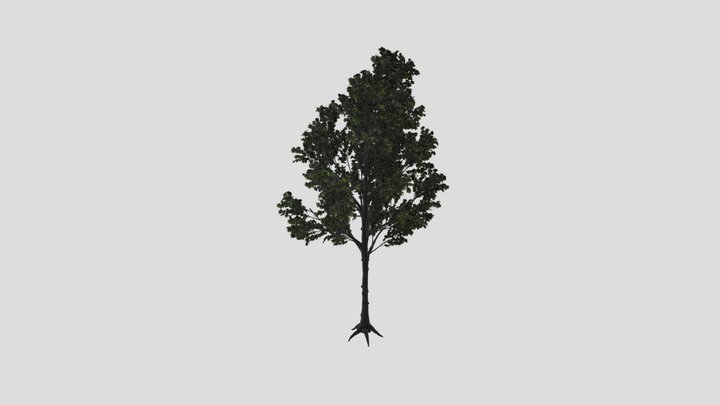 Maple Tree Variation – Modelo 3D gratuito STL