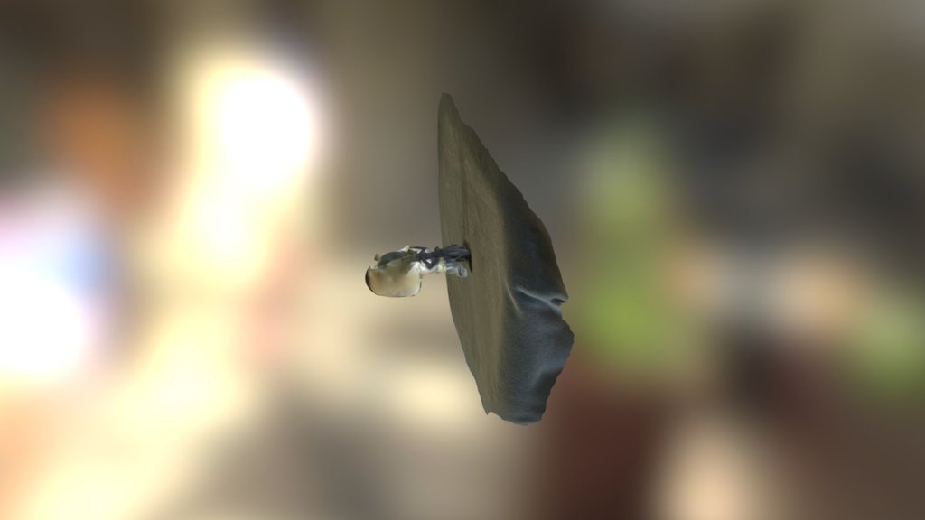 Jack2test - 3D model by katrinedei [9763239] - Sketchfab
