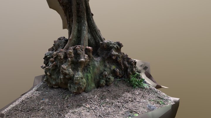 Tree Burl Test 3D Model