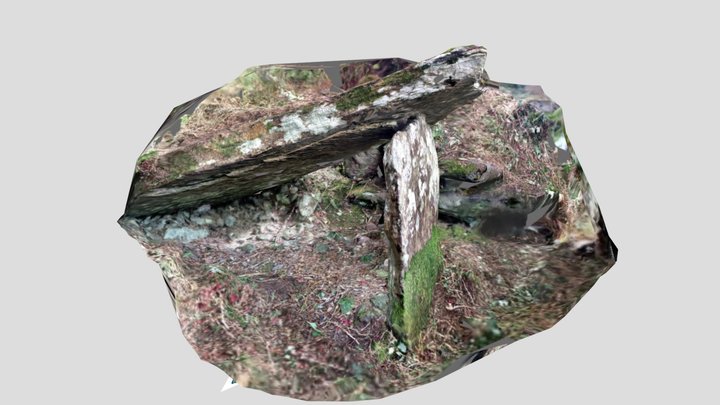 Leac na mBuachaillí mBána Megaliths KE052-023--- 3D Model