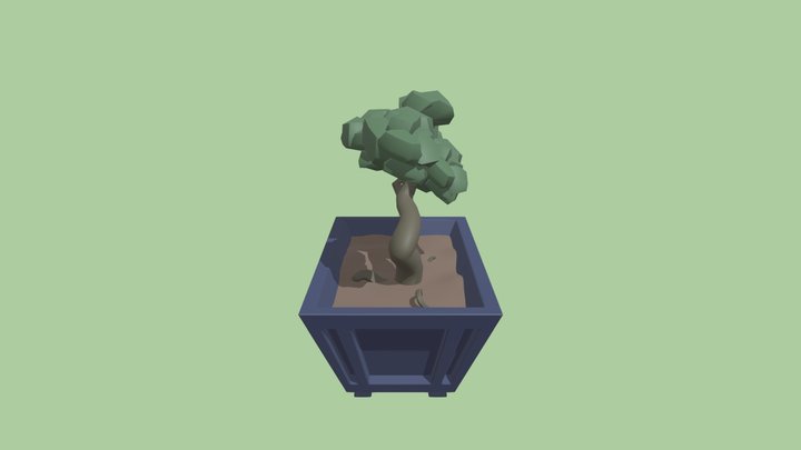 Bonsai Tree Model 3D Model
