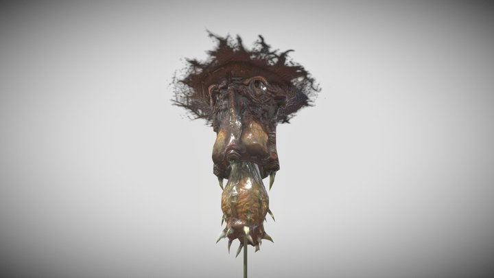 Barnacles – Free 3D Model STL