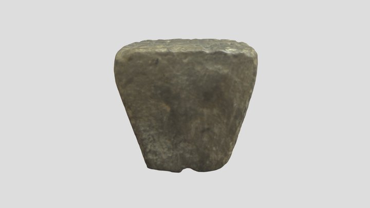 חותם טין 3D Model