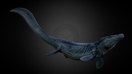 Tylosaurus 3D Model