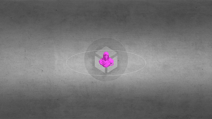 Fco_ Serr Busto 3D Model