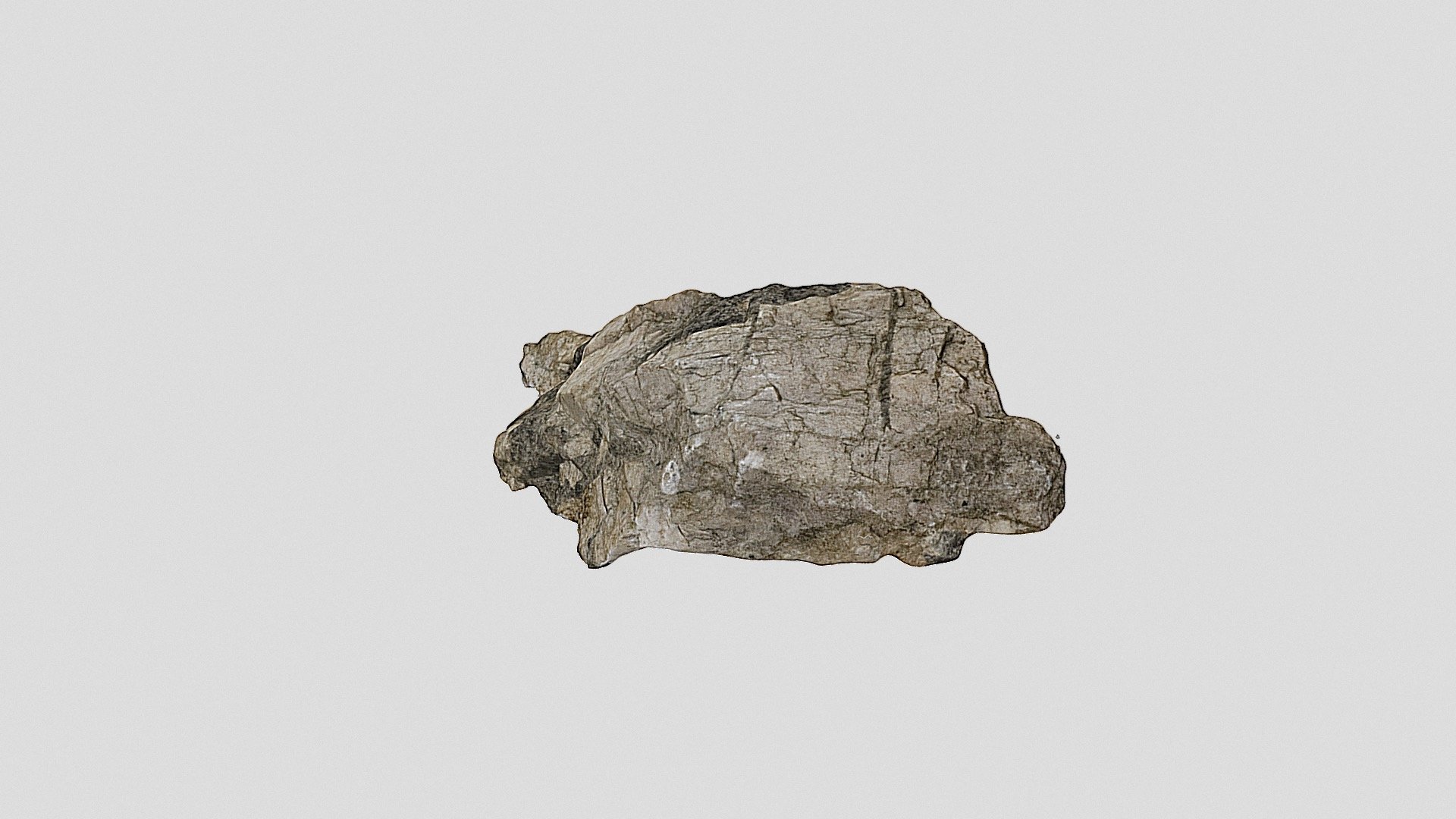 6B