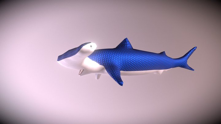 Tubarão martelo 3D Model