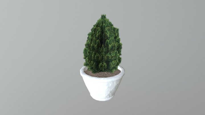 Bush 3D Model