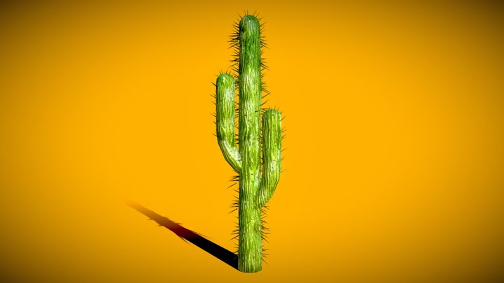 Cactus 1 (Downloadable)
