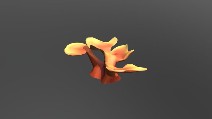 Elkhorn Coral 3D Model