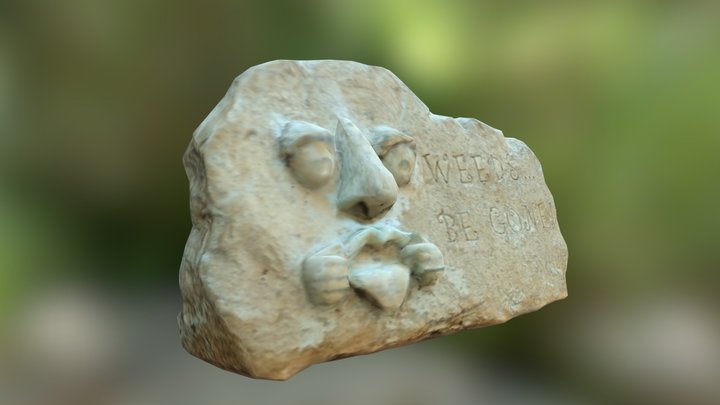 Face Rock 512 3D Model