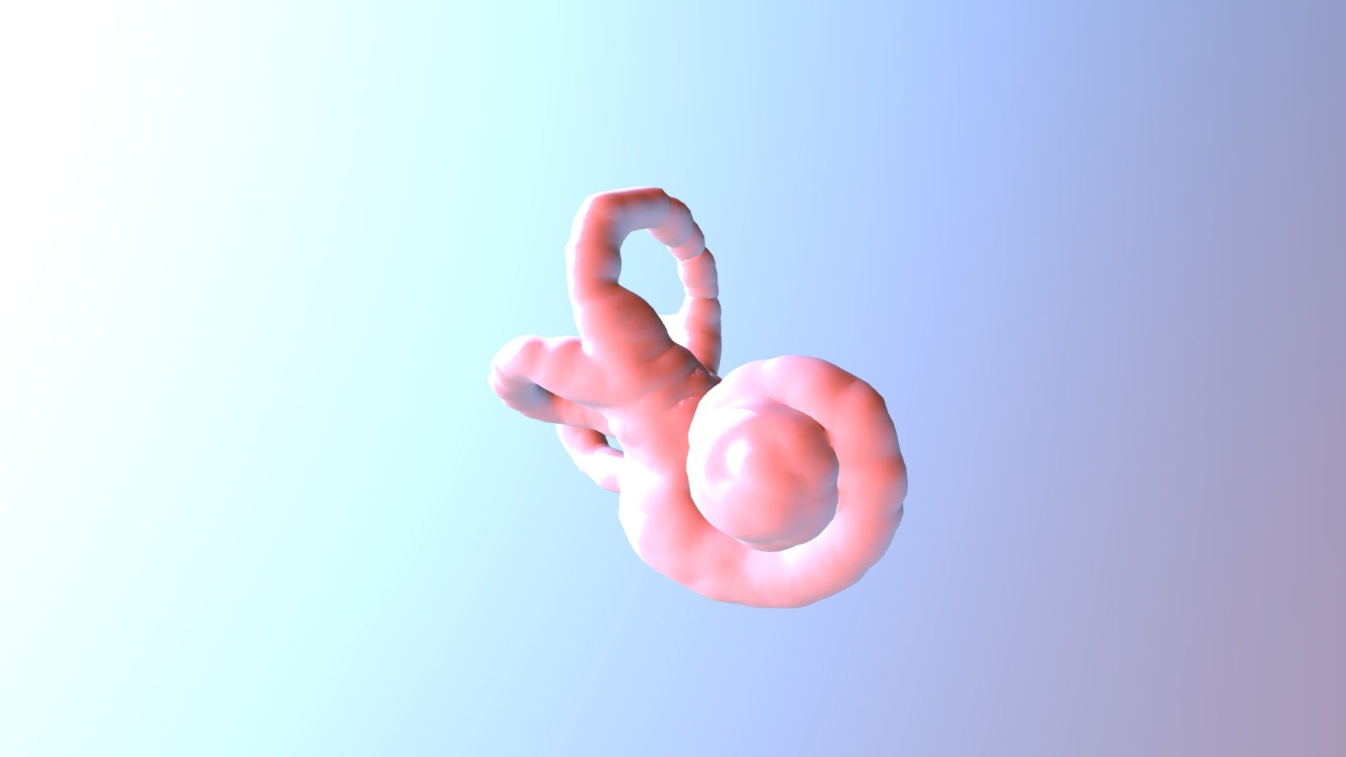 Cochlea outline test1.c4d - 3D model by catseyevisuals [9771b72 ...