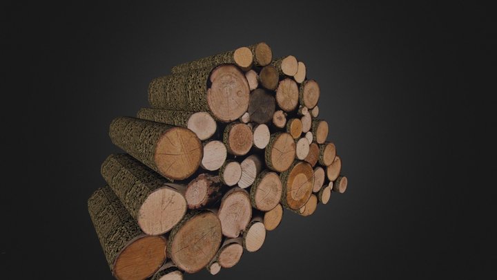 Logs 3D Model