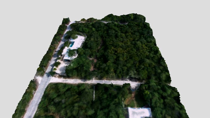 Land Luis Ceiba2 3D Model