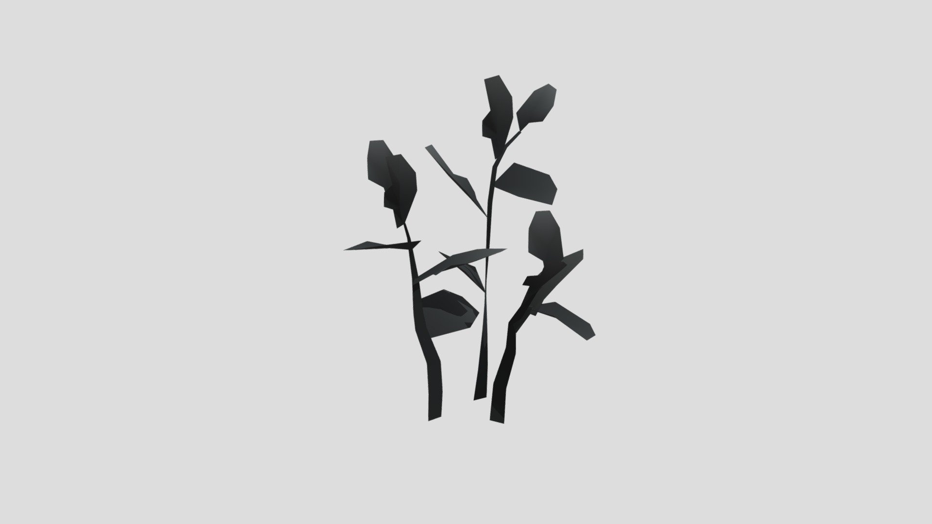 Beech Plan