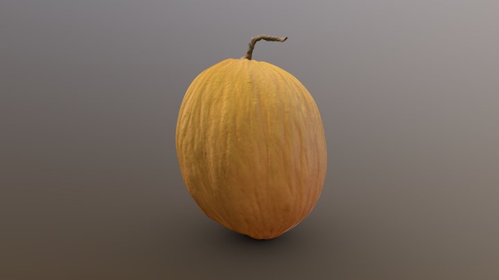 Melon - Photoscanned 3D Model