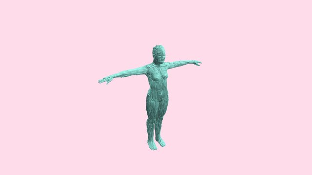 tiltbrush test 1 3D Model