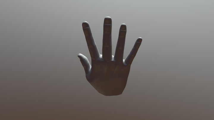 First Hand 3D Model