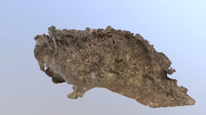 Triple Junction - Lab 2 SOIL 466 3D Model