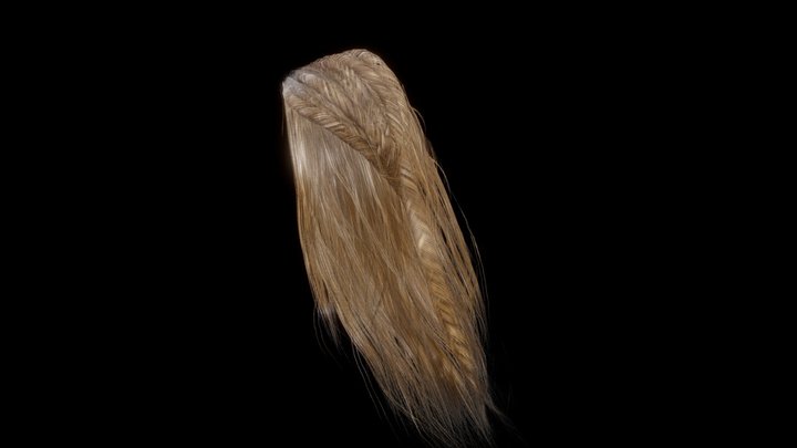 CAPA_Hair_Geonodes_test 3D Model