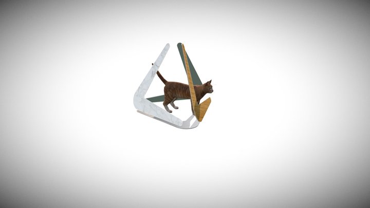 BOOMERANG CAT 3D Model