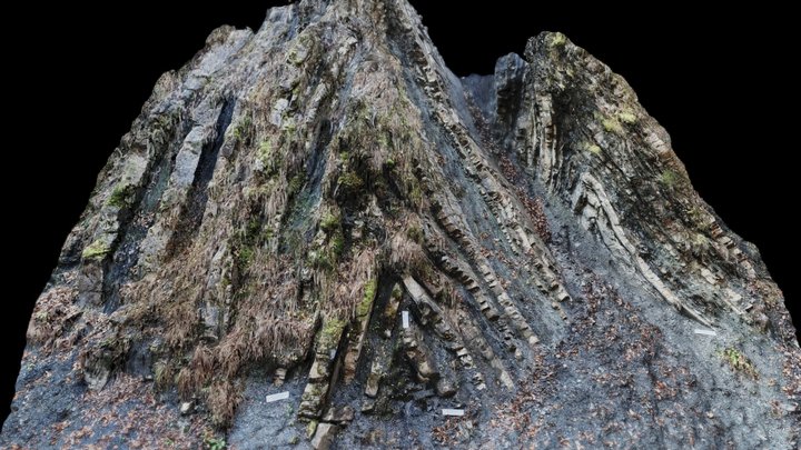 Chevron folds, Lainbach Valley, South Germany 3D Model