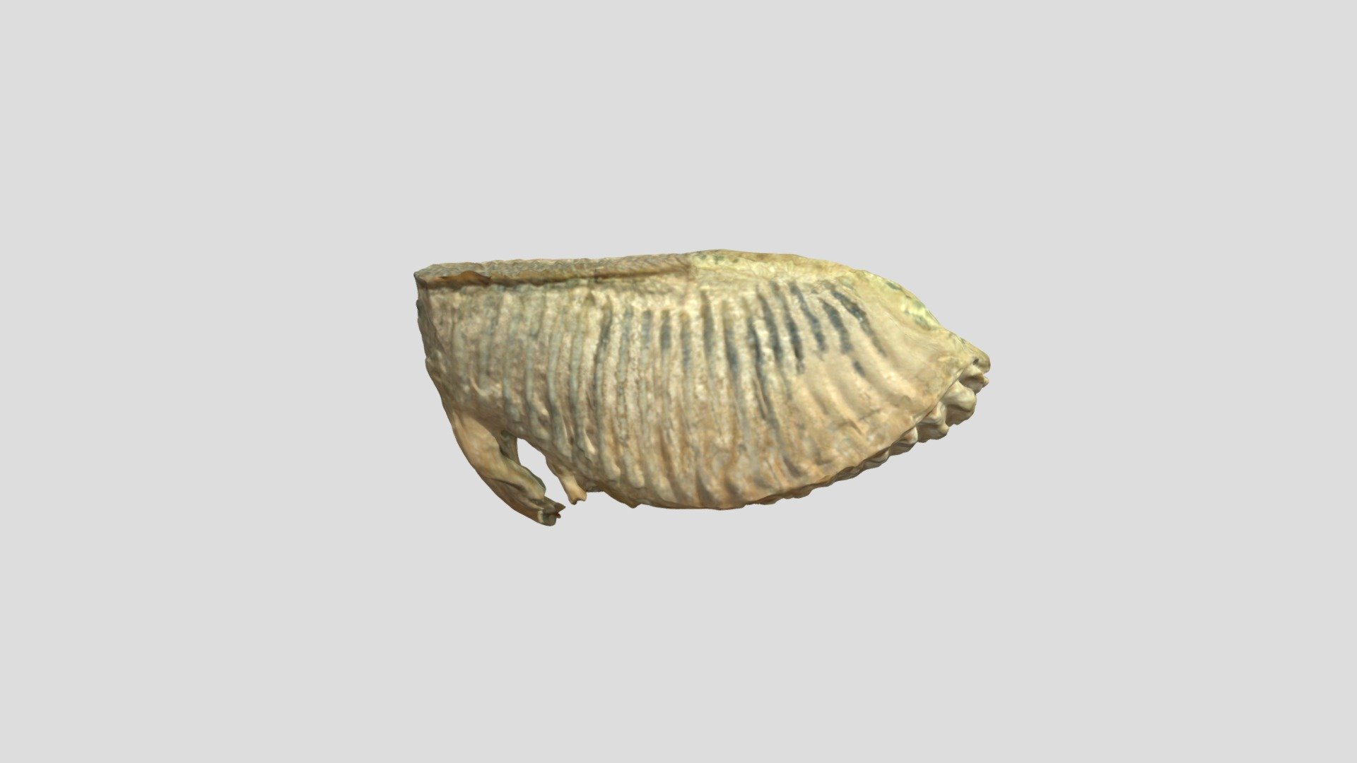07fin
