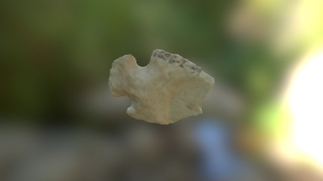 168-G-2-49