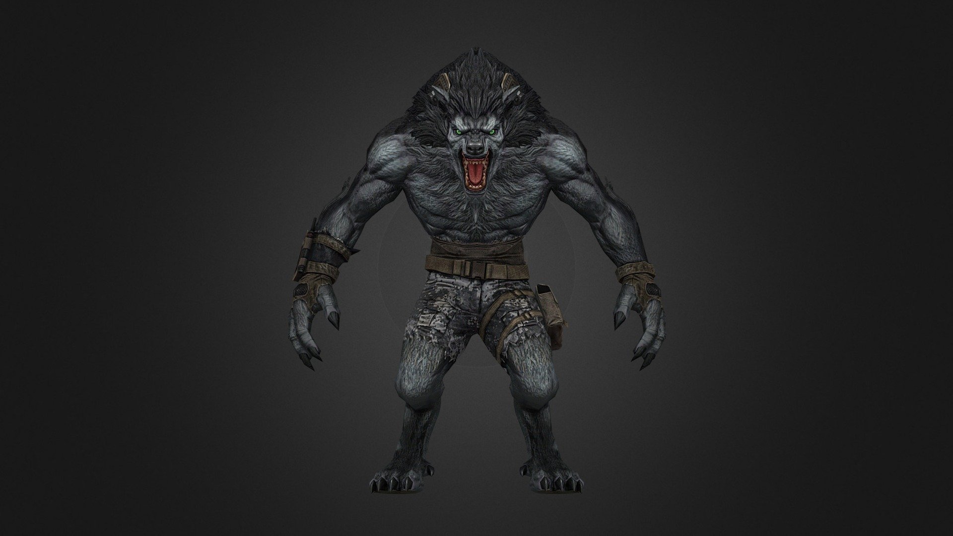 Christopher Ce Wolf
