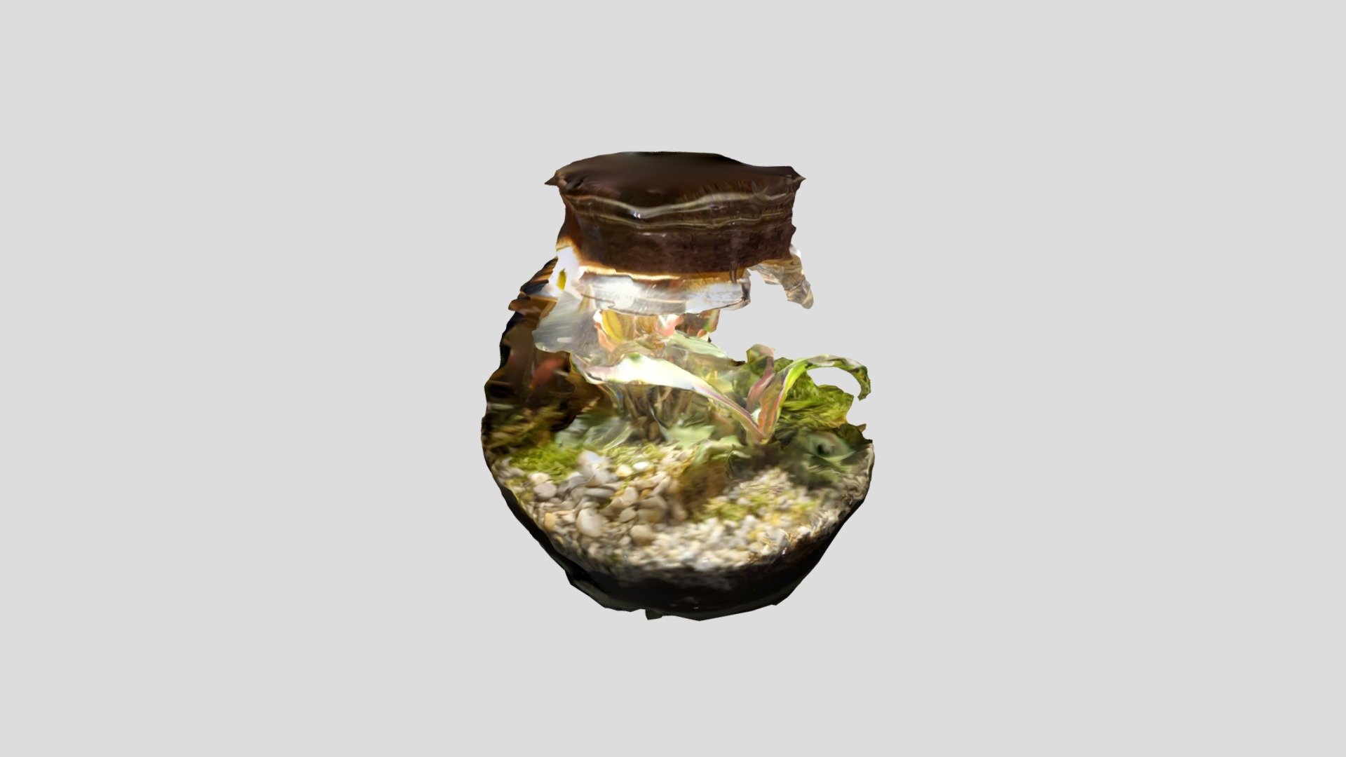 Terarij
