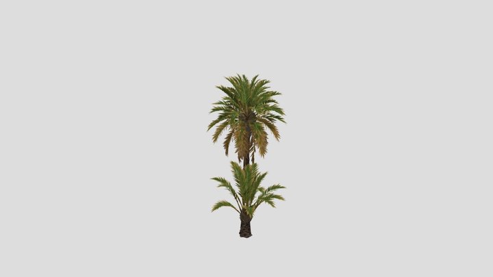 Palm – Free 3D Model STL