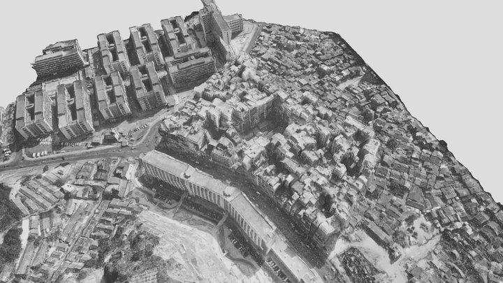 Kowloon Walled City 九龍寨城 Point Cloud 3D Model