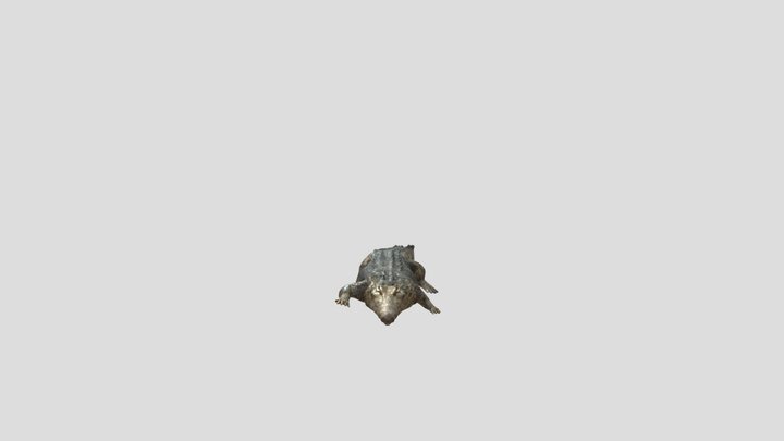 Crocodile 3D Model