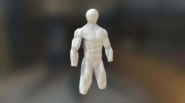 Anatomic Study 3D Model