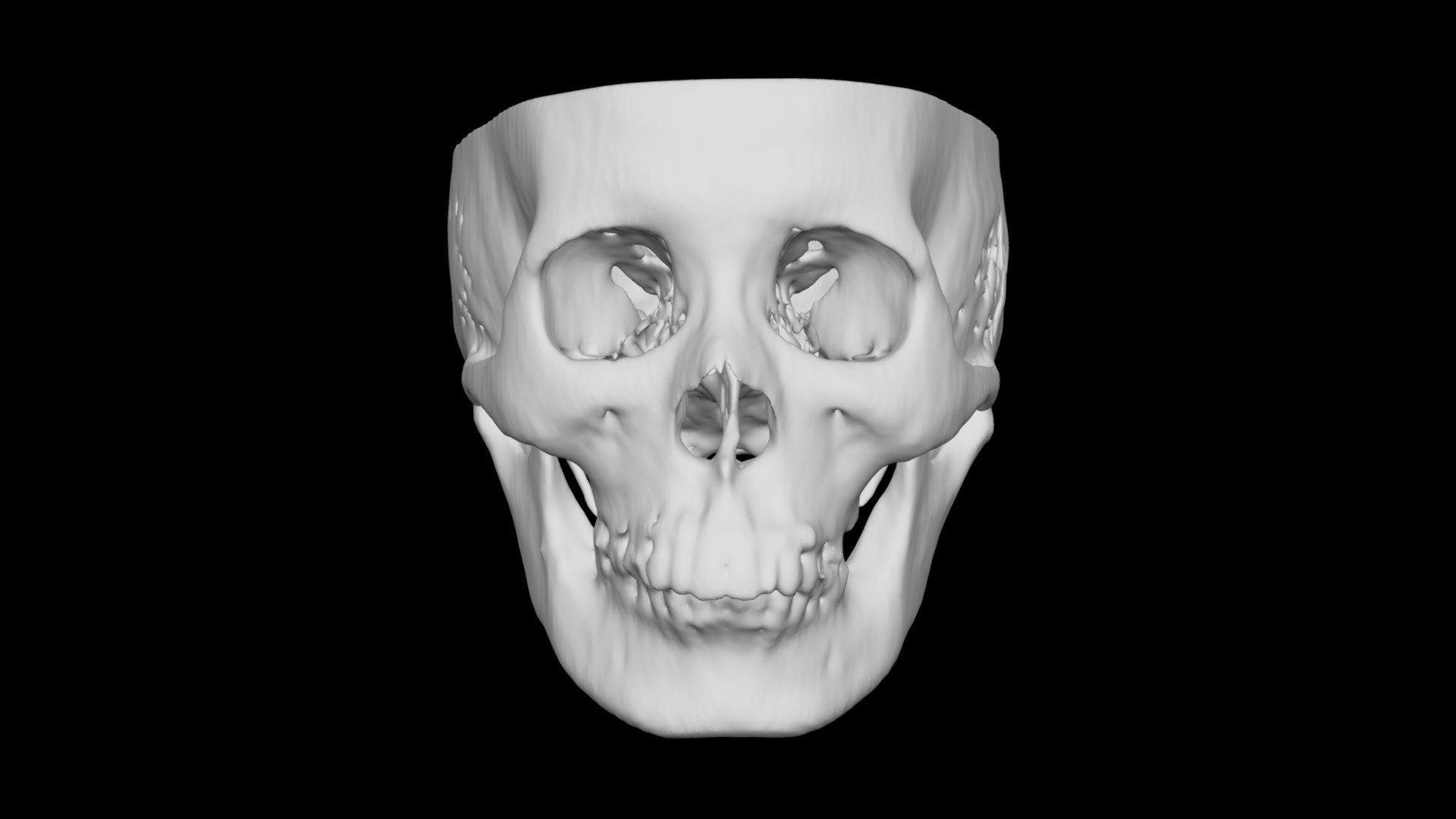 Skull Female 36yo