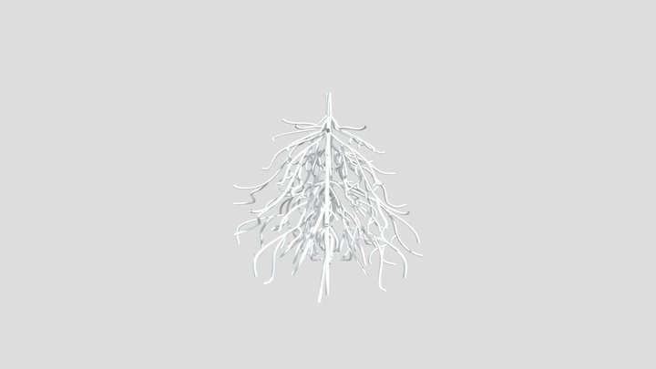 Roots2 3D Model
