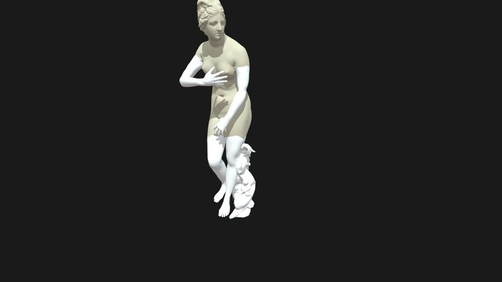 Medici Venus 3D Model
