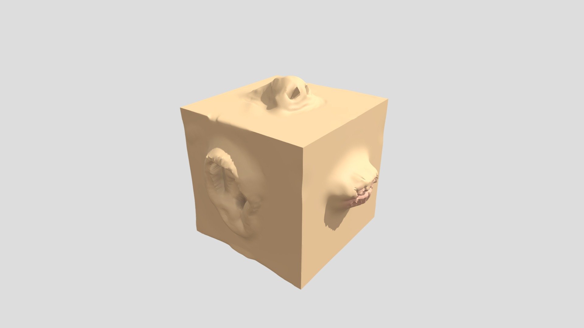 Anatomy Cube Sculpting Practice