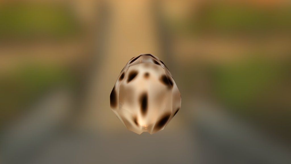 Shell - 3D model by vwijaya [9793bef] - Sketchfab