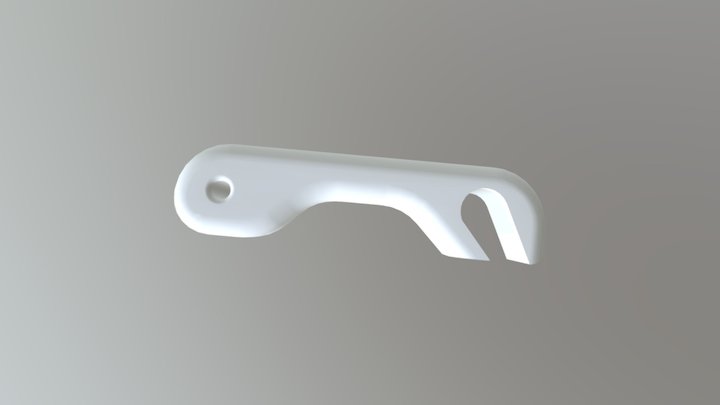 Cae 3D Model