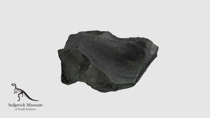 EduR776 Obsidian 3D Model
