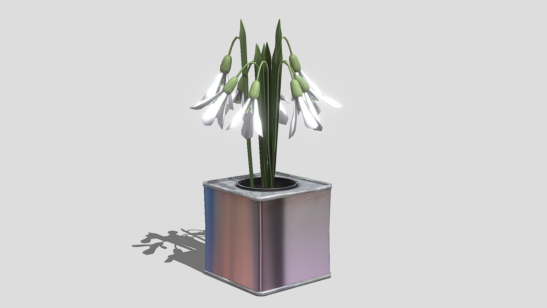 Galanthus ( Snowdrops ) 3D Model - Download Free 3D model by ...